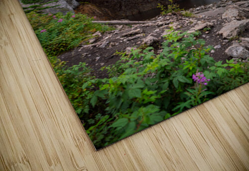 Fairy Falls Noah Lang puzzle