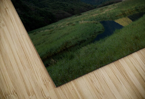 Waimanu Valley Noah Lang puzzle