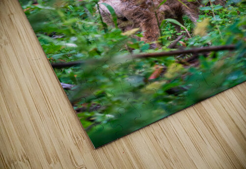 Deer Noah Lang puzzle