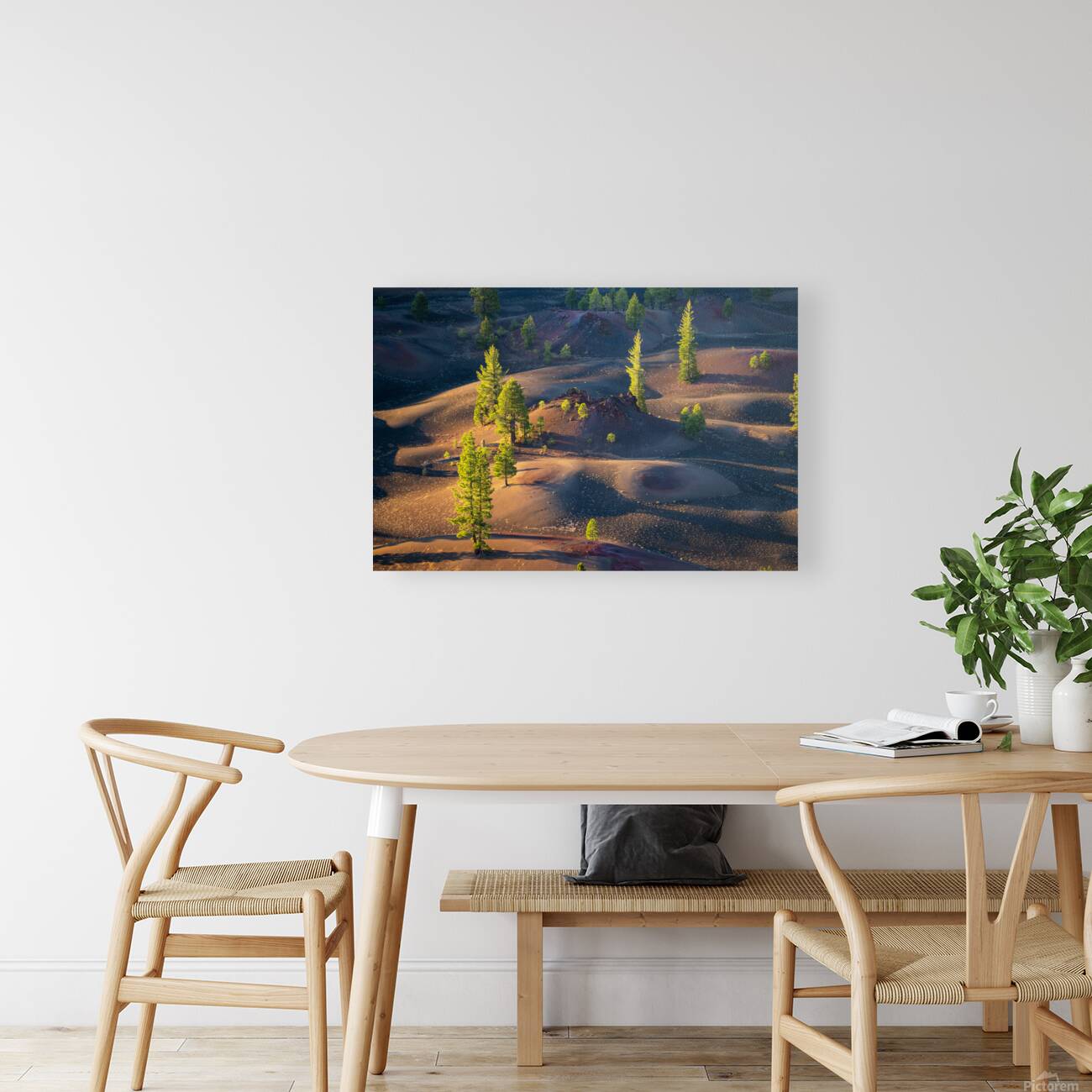 Painted Dunes Reproduction