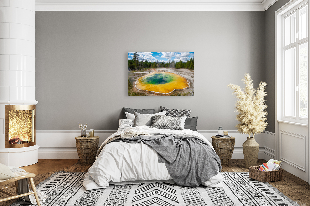 Morning Glory Pool Reproduction