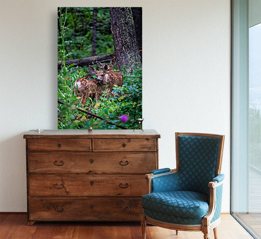 Deer Reproduction