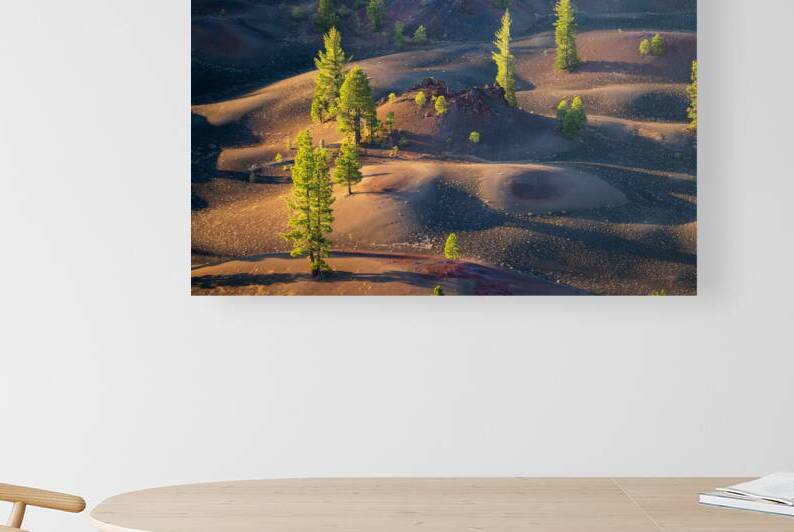 Painted Dunes Reproduction
