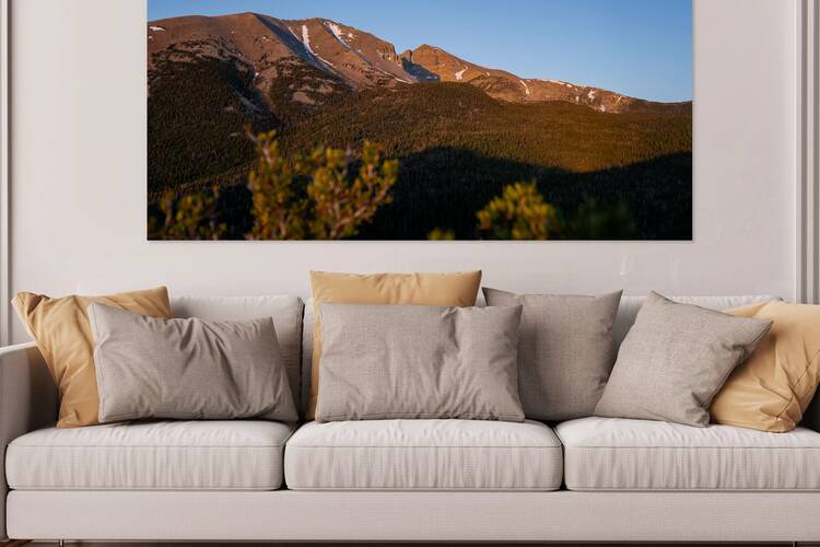 Wheeler Peak Reproduction