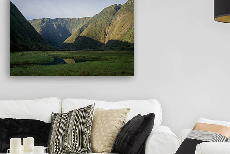 Waimanu Valley Reproduction
