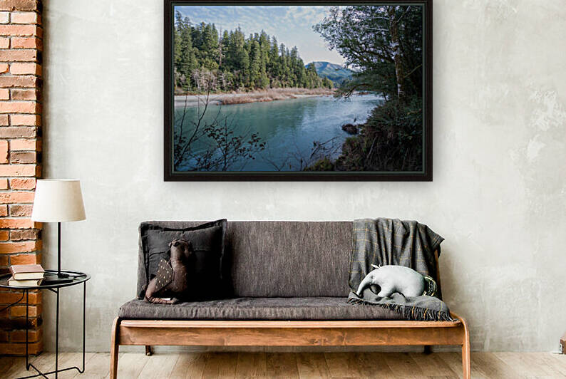 Chetco River Reproduction