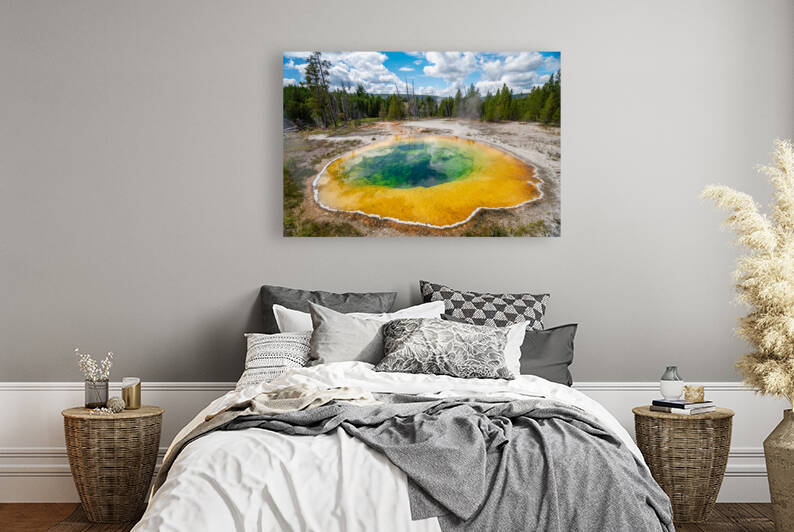 Morning Glory Pool Reproduction
