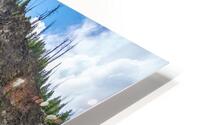 Fairy Falls HD Metal print