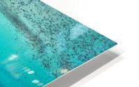 Tropical Paradise HD Metal print
