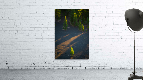 Lassen Wall Preview