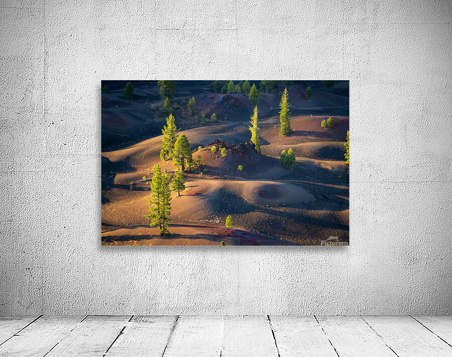 Painted Dunes Wall Preview