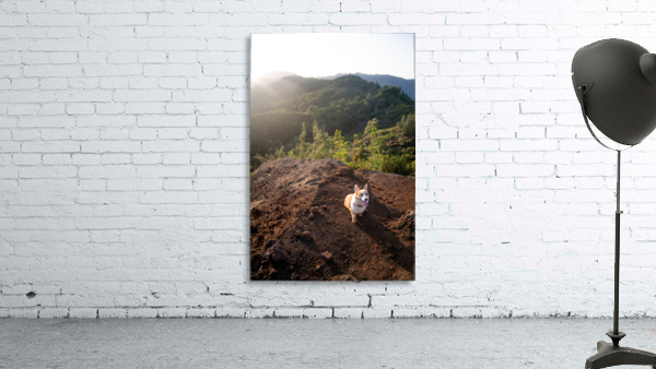 Mountain Corgi Wall Preview