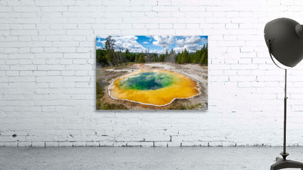 Morning Glory Pool Wall Preview