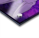 Dragon Ball *Beerus* Acrylic print