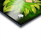 Dragon Ball *Broly* Acrylic print