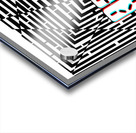 3D Maze Gaze *Predator* Acrylic print