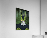 Dragon Ball *Cell* Acrylic Print