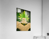 Dragon Ball *Broly* Acrylic Print