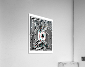 3D Maze Gaze *ALIEN* Acrylic Print