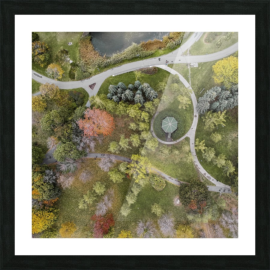 Parc jarry Picture Frame print