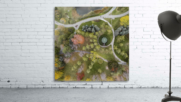 Parc jarry Wall Preview