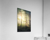 f19 Acrylic Print