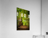 f21 Acrylic Print
