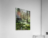 f3 Acrylic Print