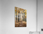 f14 Acrylic Print