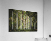f20 Acrylic Print