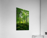f11 Acrylic Print