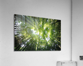 f23 Acrylic Print