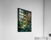 f12 Acrylic Print