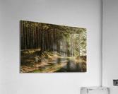 f18 Acrylic Print
