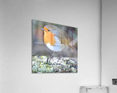 birds are alone here Acrylic Print