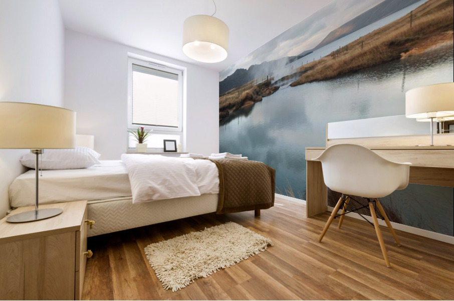 Lakes are pretty clean Mural print