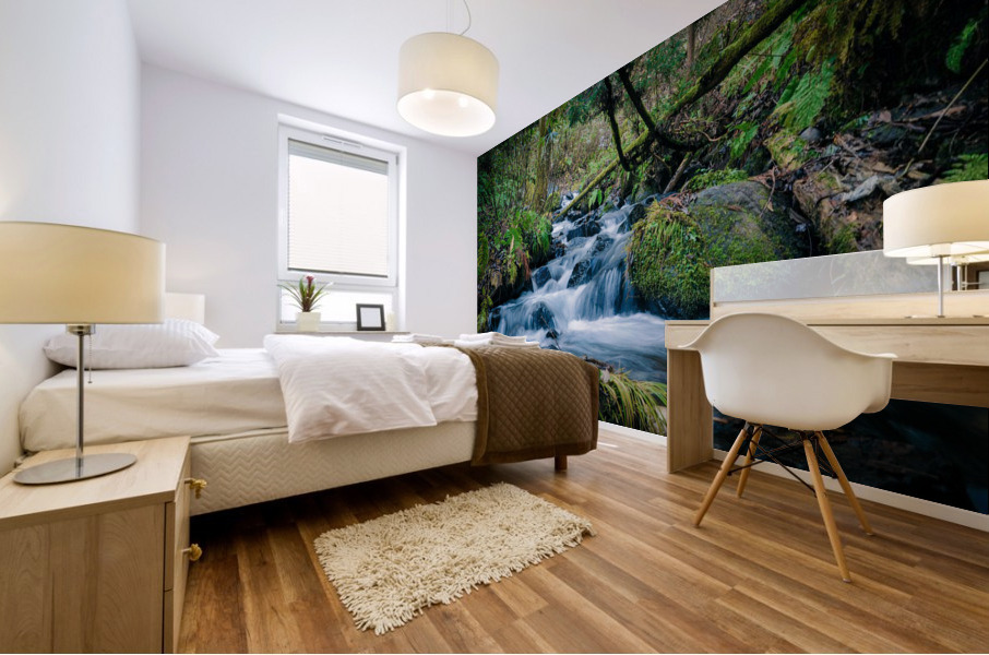 waterfalls create joy Mural print