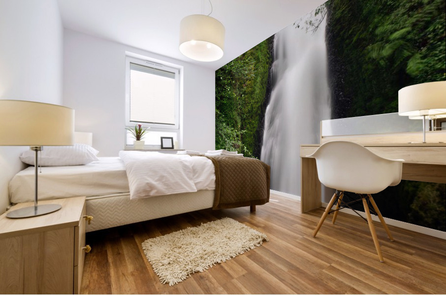 waterfalls  fall Mural print