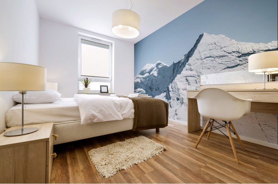g4 Mural print