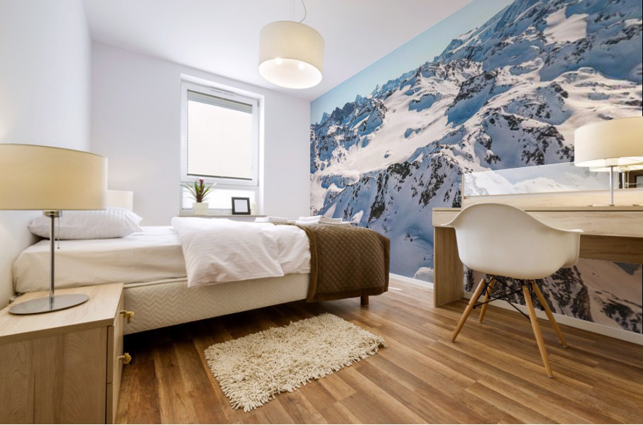 g6 Mural print