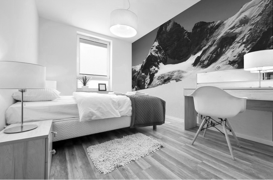 g5 Mural print