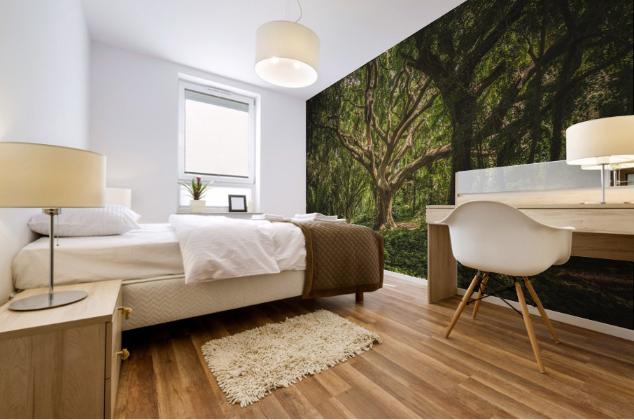 f20 Mural print