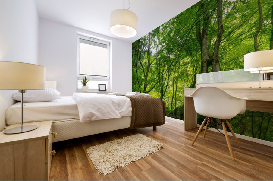 f11 Mural print