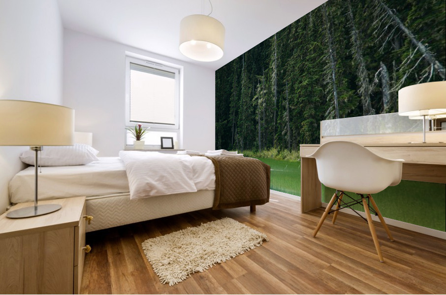 f10 Mural print
