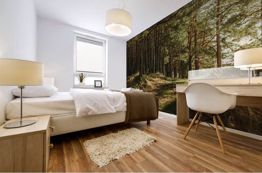 f18 Mural print