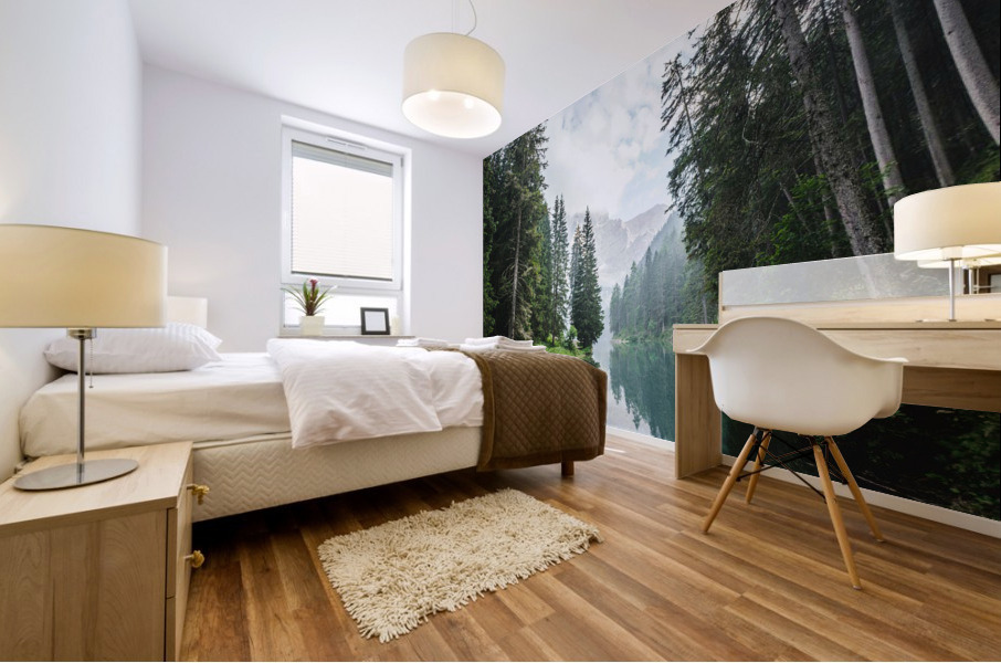 f27 Mural print