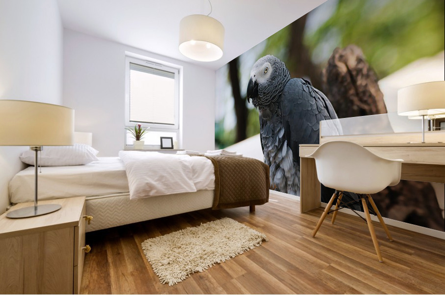 Birds at rest Mural print