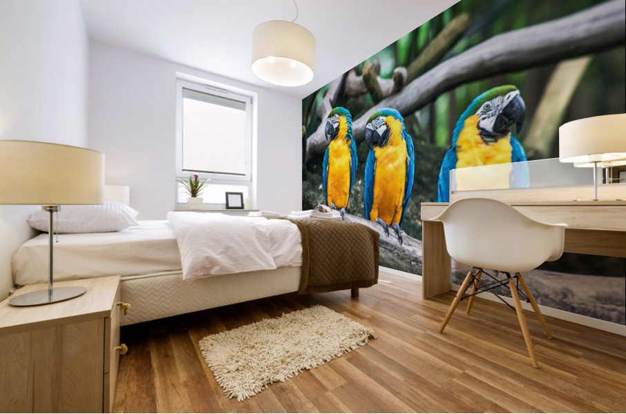 Birds are three Mural print