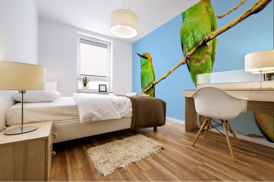Birds plan things Mural print