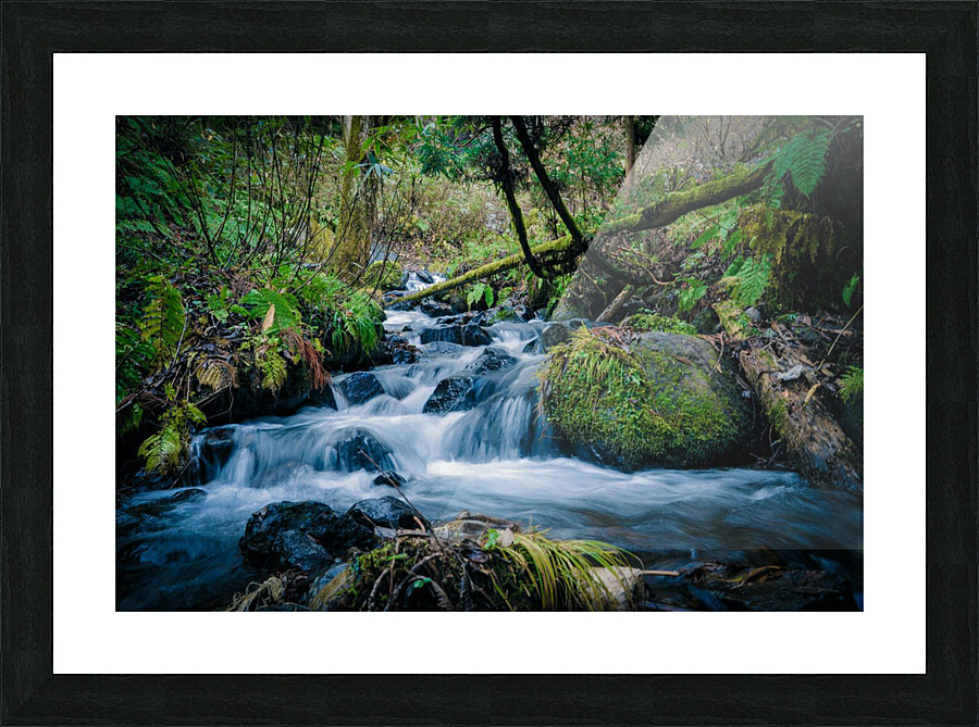 waterfalls create joy Picture Frame print